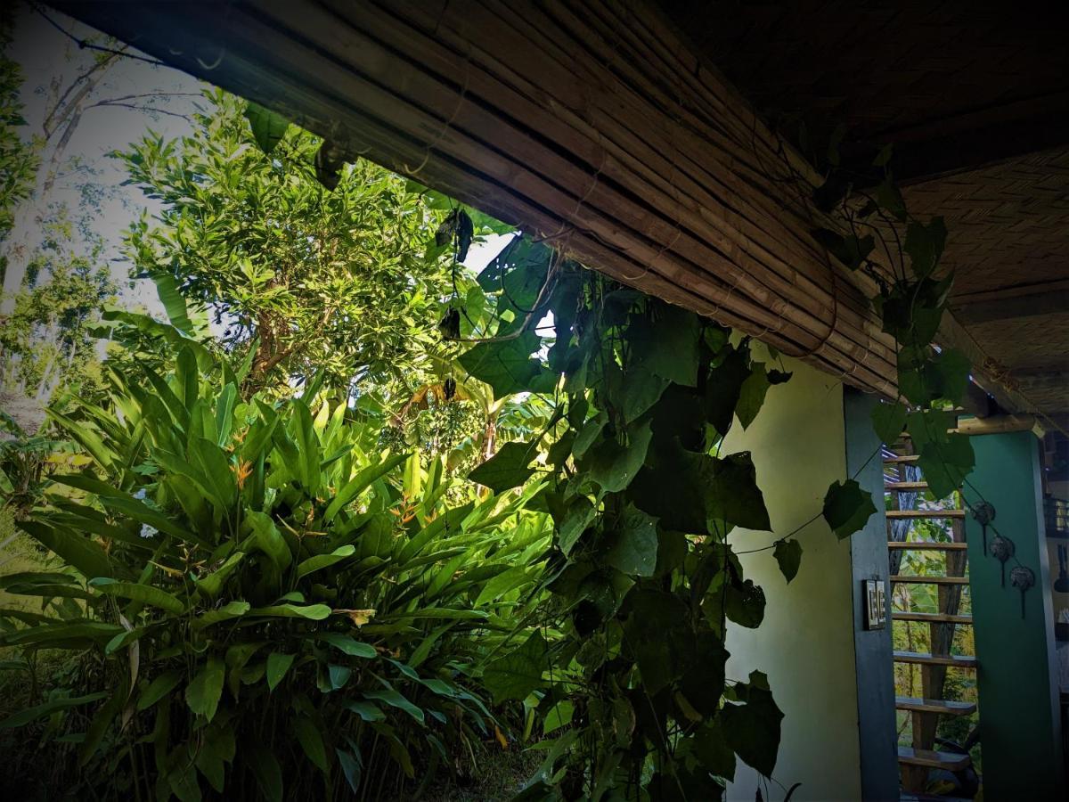 The Overlook San Vicente  Exterior foto